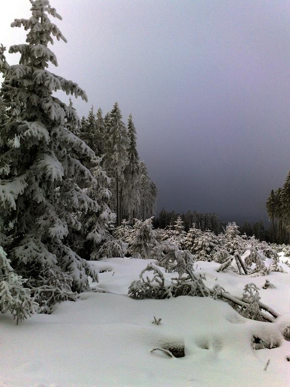 Heidehotel Hildfeld Winterberg Dış mekan fotoğraf