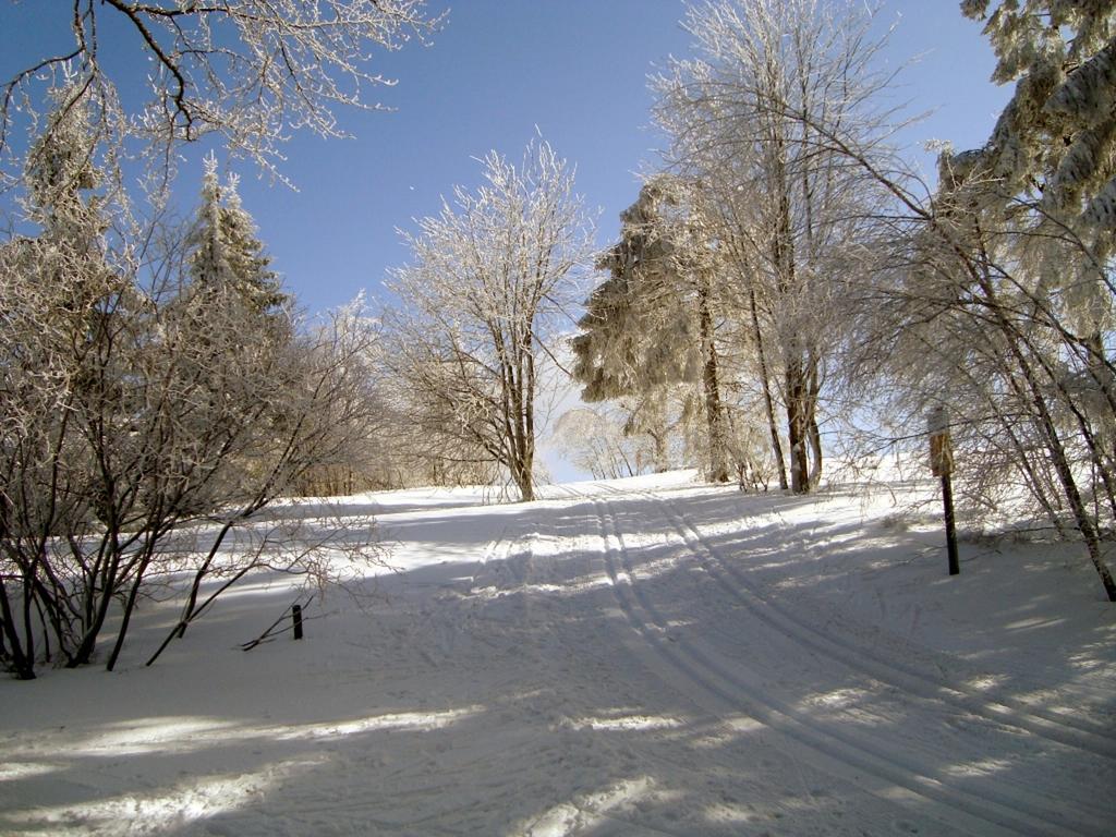 Heidehotel Hildfeld Winterberg Dış mekan fotoğraf
