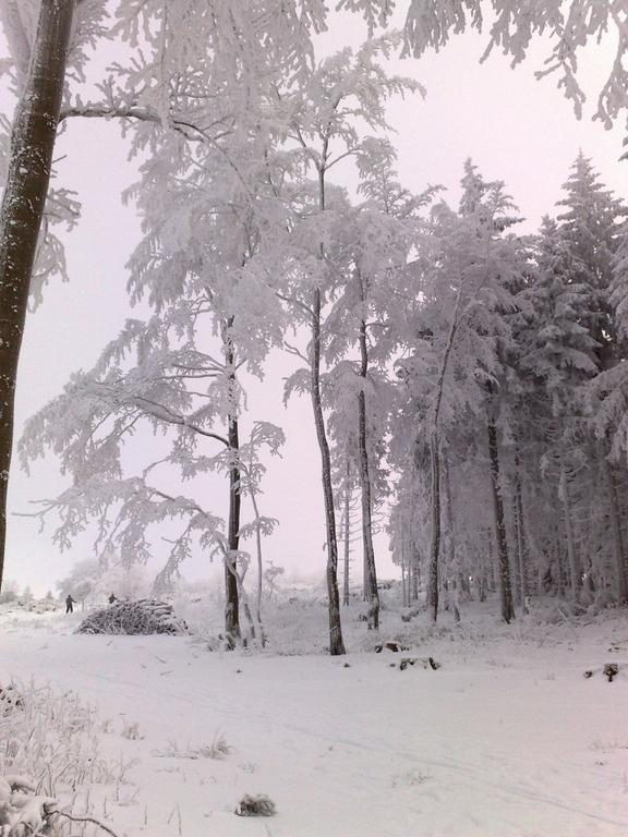 Heidehotel Hildfeld Winterberg Dış mekan fotoğraf
