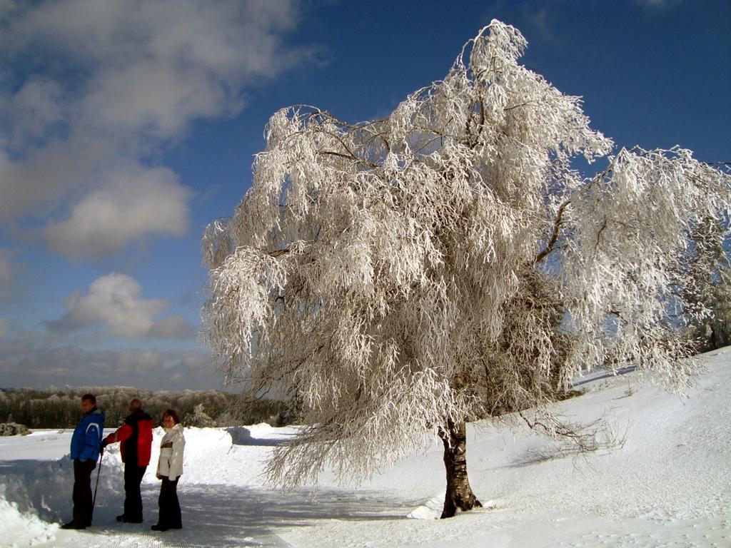 Heidehotel Hildfeld Winterberg Dış mekan fotoğraf