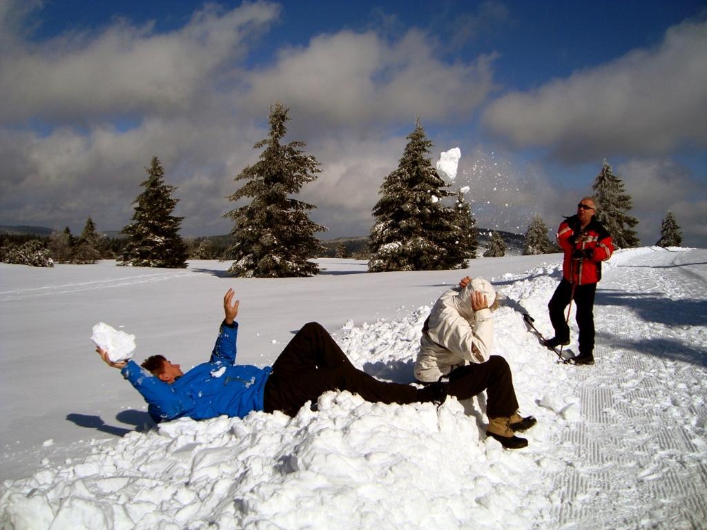 Heidehotel Hildfeld Winterberg Dış mekan fotoğraf